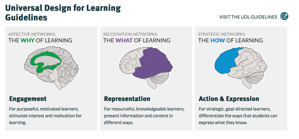 Universal Design for Learning Guidelines graphic
